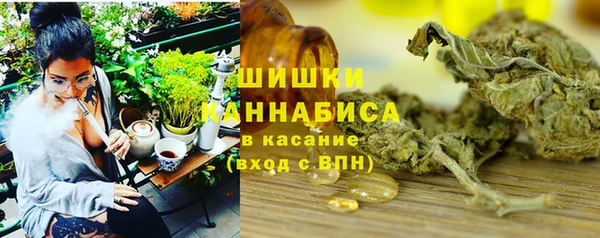 сатива Богданович